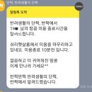 쉬리펫살롱 이미지