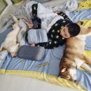 장자호수공원(반려견놀이터) | 구리 반려견과 갈만한 곳 장자호수공원 반려동물 놀이터 다녀왔어요