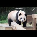 경기도 수원시 팔달구 매산로, 정조로 | 6월24일 데일리코디 | 매교동 카페 추천, 수원역 국밥 맛집 | 트리플에스 멤버 본 후기