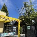 사유랑 호스텔 | [공지] 🏨 퀸즈타운 중심 가성비 호스텔 후기-Southern Laughter Backpackers 솔직 숙박기