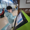 브이태권도장 이미지