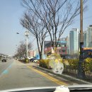 판교메젠모터스 이미지