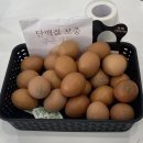 세븐일레븐 음성대소융보점 | [공지] [금왕 헬스, 개인피티] 소문듣고 찾아간 헬린이의 PT등록 솔직 후기 | 바른피티 바른PT