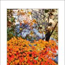 마곡사1 이미지