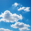 11 | 디다샷 먹고 11kg 빠진 내돈내산 리얼 후기