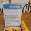 달리풀 이미지