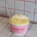 퍼피클럽 뚱 이미지