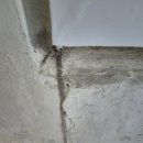 세영바이오 이미지