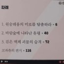 [동화 서평] 달콤 짭짤 코파츄2/ 다영 글 밤코 그림/ 창비/ 과학동화