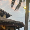 소리숲모텔 | [베트남 무이네 숙소🇻🇳] Lotus Village Resort 로터스 빌리지 리조트 숙박 수영장 조식 후기