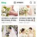 다큐포레 이미지