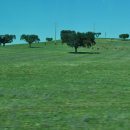 발현목장 이미지