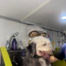 향기롭개 이미지