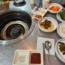 맛.아나고.산꼼장어