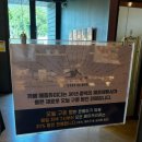 팔공산 대형카페 베이커리류가 정말 다양하고 계단 인생샷 건지기 좋은 &#34;메종듀미디&#34; 후기