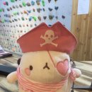 몽랑 이미지