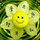 해피데이 이미지