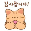 실버손모아