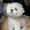 미코독