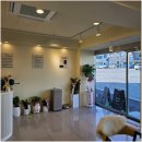 라이프독 이미지