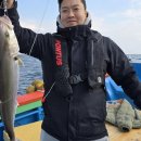 해영호 체험배낚시에서 바다의 매력을 느껴보세요! 🐠