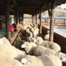 하늘구름목장 이미지