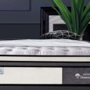 조은세탁 이미지