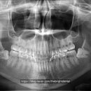 라이프 치과기공소 이미지