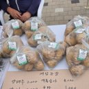 연천애 순두부
