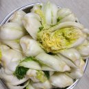 알배기