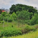 신월동122 이미지