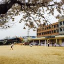 김천석천중학교 이미지