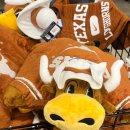 [미국 교환학생] UT Austin 봄학기 파견 준비 목록+타임라인 정리