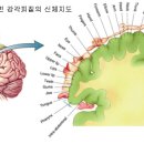 미인연구소 이미지