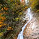 정기코스 이미지