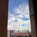 리버트리 이미지