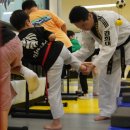 어린이 태권도 이미지