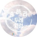 [관광두레서포터즈/순하리두레처럼팀] #수원여행기 제1탄 #행궁광장 #행궁길 #공방거리