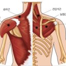 메이드바디 필라테스 이미지