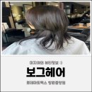 상남동미용실 [보그헤어] 2025 SS 트렌드 &#34;모카무스&#34; 염색 후기
