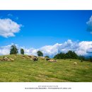 행렬농장 이미지