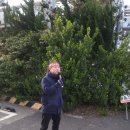 (주)대덕화학