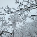 ＜백두대간＞- 보석처럼 빛나오는 상고대(冰花), 이미지