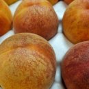 야채왕자 과일공주 이미지