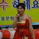 팽고 팽고 이미지