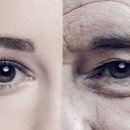 정부청사역 이미지