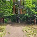 태백산 금대봉 대덕산 등산코스, 두문동재 검룡소 야생화 트레킹 산행 ( 예약 방법 )