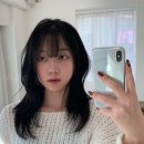 세미헤어 이미지