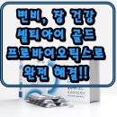 셀티아이 골드 프로바이오틱스 내돈내산 솔직후기 : 장 건강을 위한 유산균, 과련 효과 있을까?