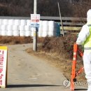 하향농장 이미지